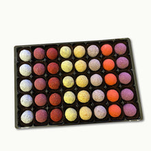 Laden Sie das Bild in den Galerie-Viewer, Truffes Special 40